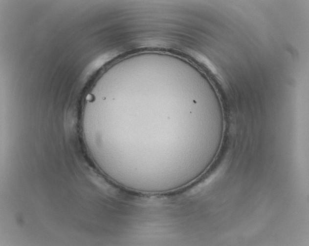 X0000115390922200911241243