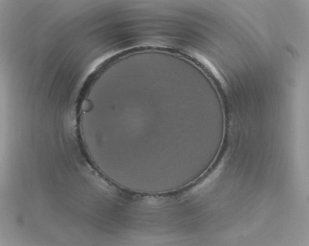 X0000115390923200911241243