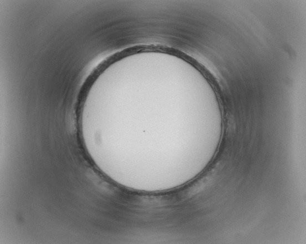 X0000115390927200911241243