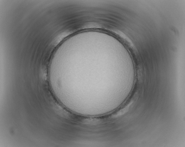 X0000115390929200911241243