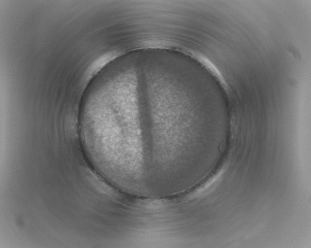 X0000115390930200911241243