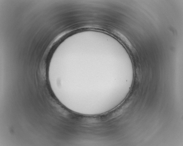 X0000115390931200911241243