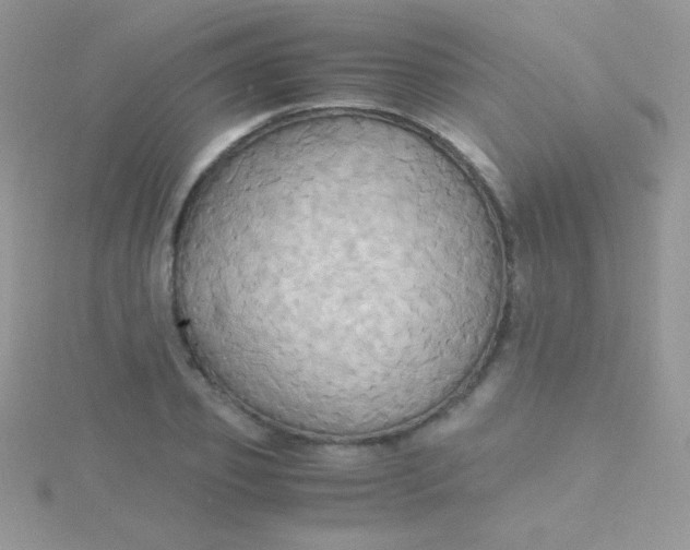 X0000115390933200911241243