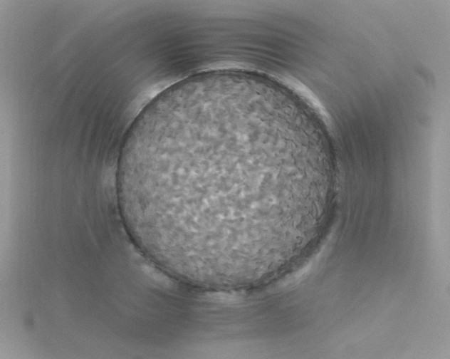 X0000115390937200911241243