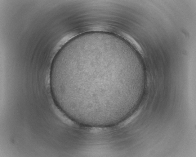 X0000115390938200911241243