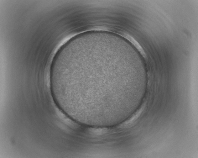 X0000115390939200911241243