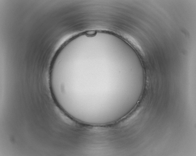 X0000115390942200911241243