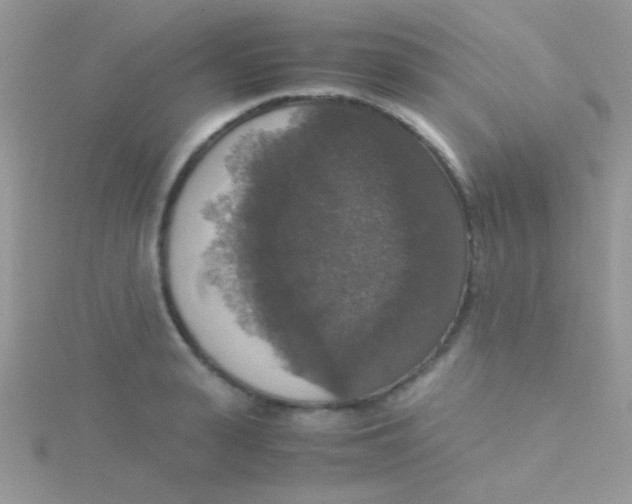 X0000115390943200911241243