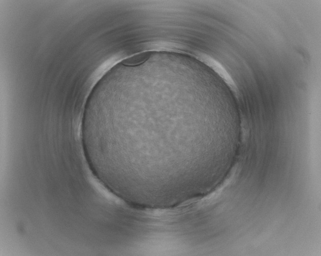 X0000115390946200911241243