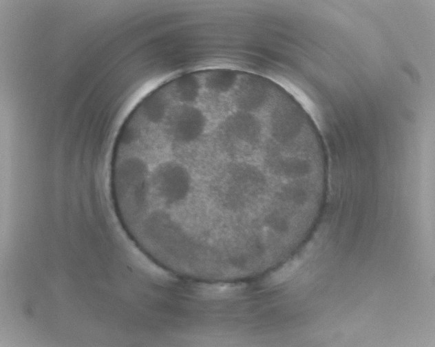 X0000115390949200911241243