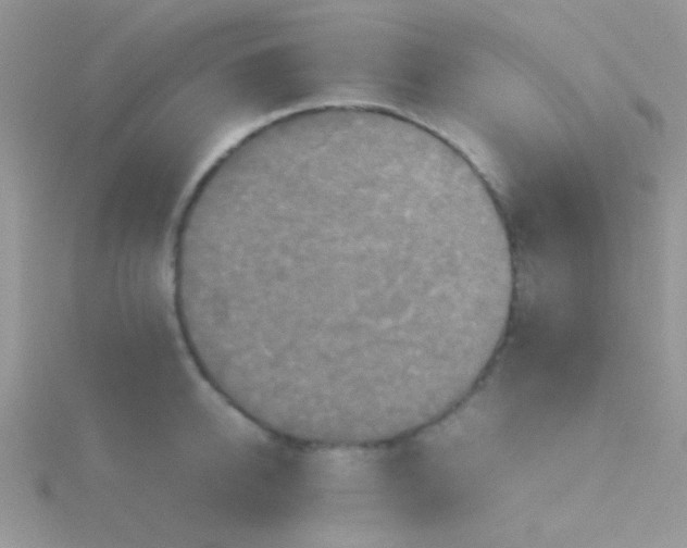 X0000115390950200911241243