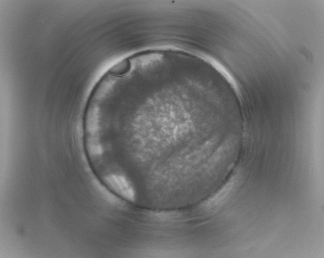 X0000115390951200911241243