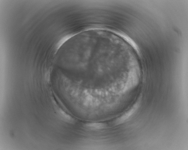 X0000115390953200911241243