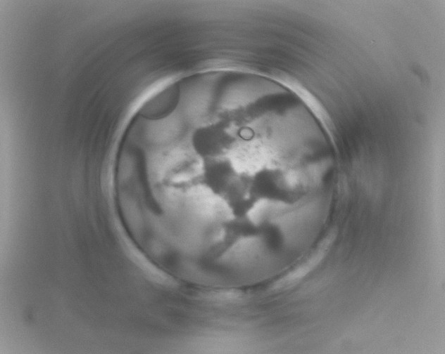 X0000115390957200911241244