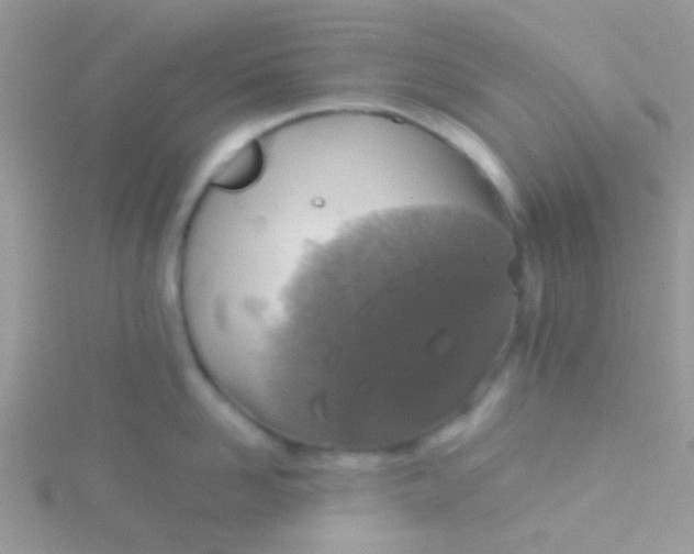 X0000115390958200911241244