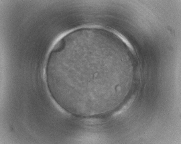 X0000115390959200911241244