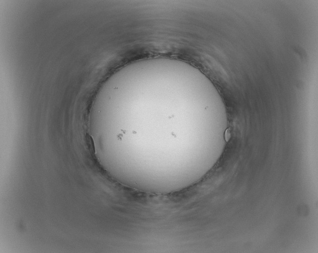 X0000115390961200911241243