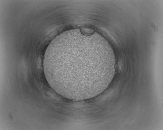 X0000115390964200911241243