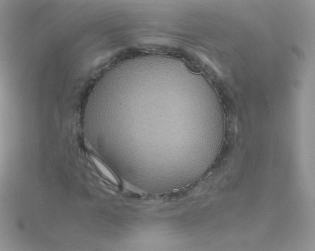 X0000115390965200911241243