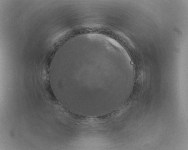 X0000115390966200911241243