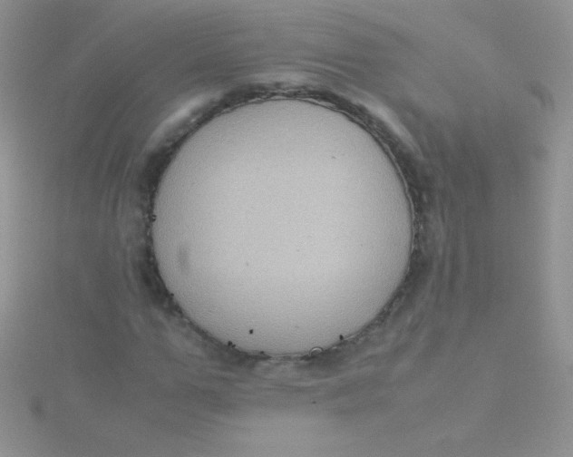 X0000115390967200911241243