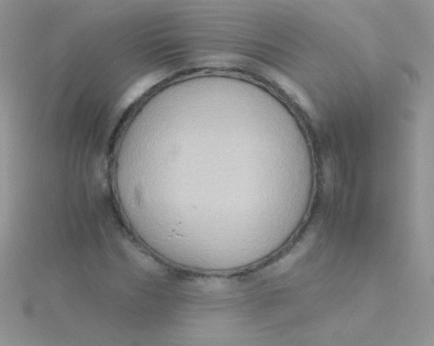 X0000115390970200911241243