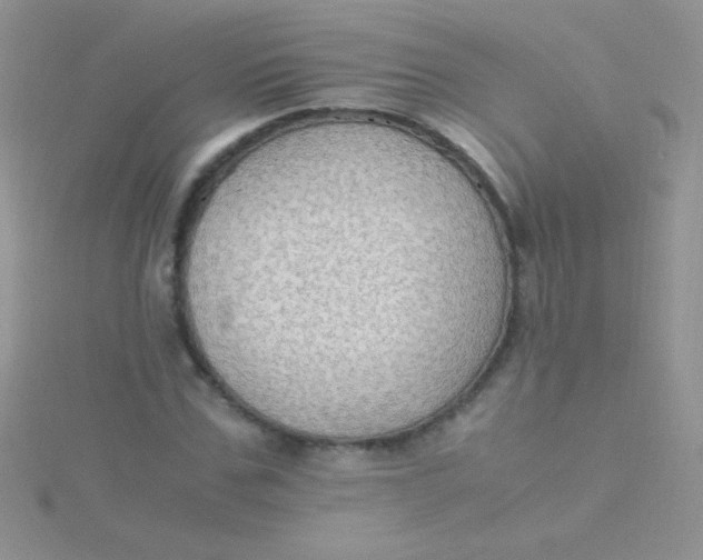 X0000115390971200911241243