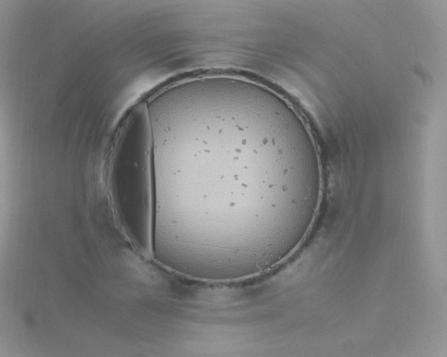 X0000115390973200911241243