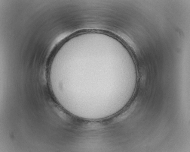 X0000115390974200911241243