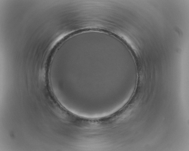 X0000115390975200911241243