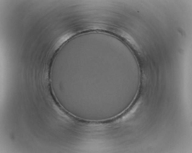 X0000115390977200911241243