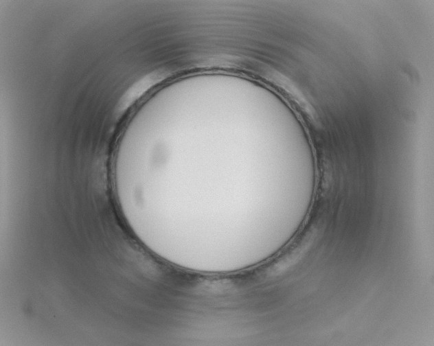 X0000115390978200911241243