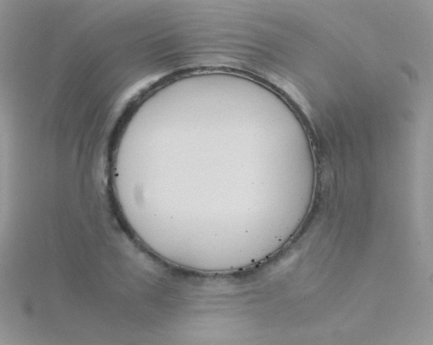 X0000115390979200911241243