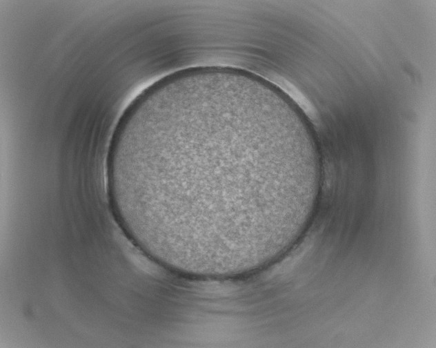 X0000115390980200911241243