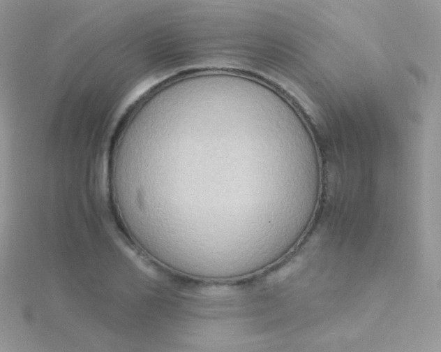 X0000115390982200911241243