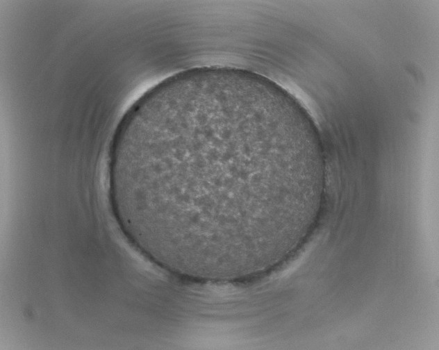 X0000115390983200911241243