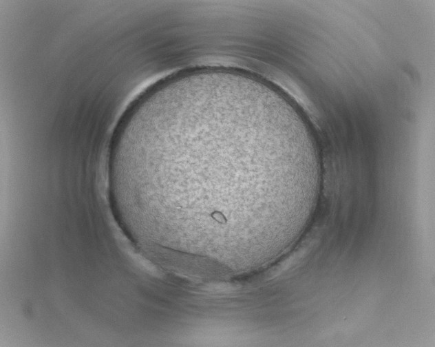 X0000115390984200911241243