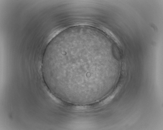 X0000115390985200911241243