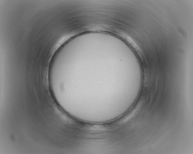 X0000115390986200911241243