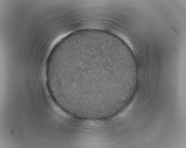 X0000115390987200911241243