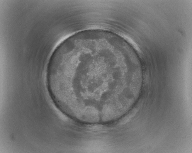 X0000115390991200911241243