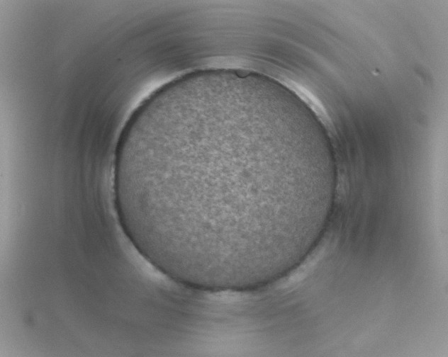 X0000115390992200911241243