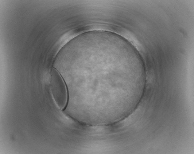 X0000115390993200911241243