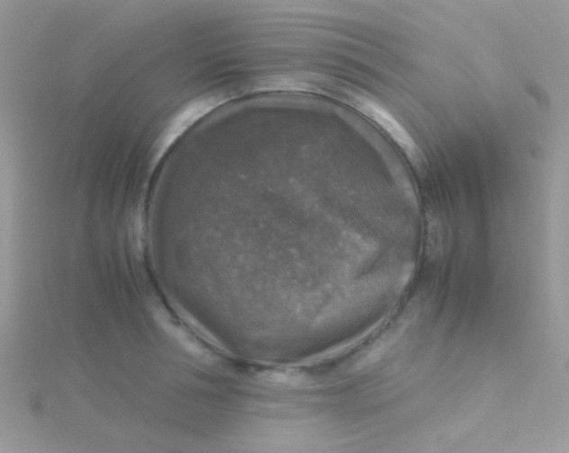 X0000115390994200911241243