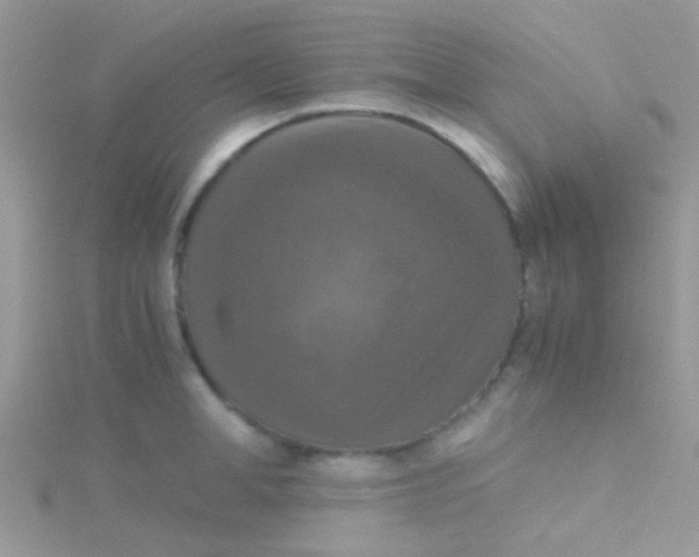 X0000115390998200911241242