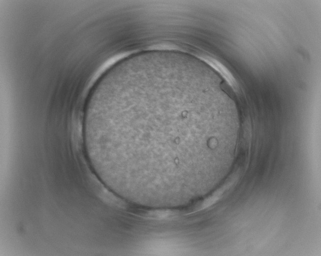 X0000115391000200911241242