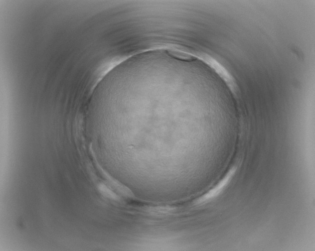 X0000115391001200911241242