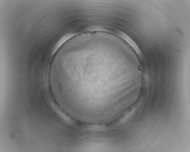 X0000115391002200911241242