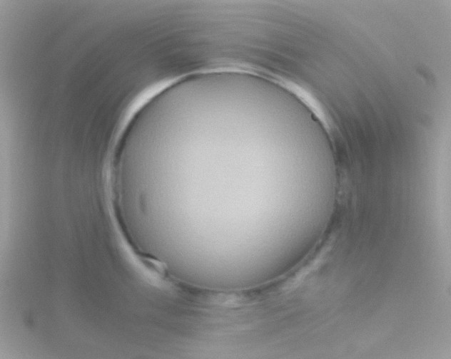 X0000115391003200911241242