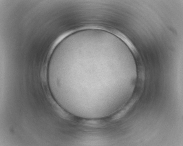 X0000115391004200911241242